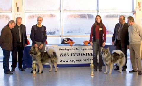 Jahressieger 2008: Argus vom Hollerbusch und Sanni vom Traventhal 