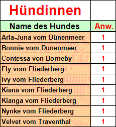 BOY Punkte Hündinnen