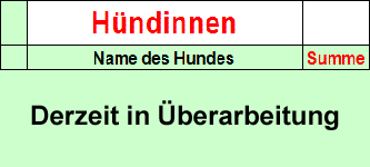 BOY Punkte Hündinnen
